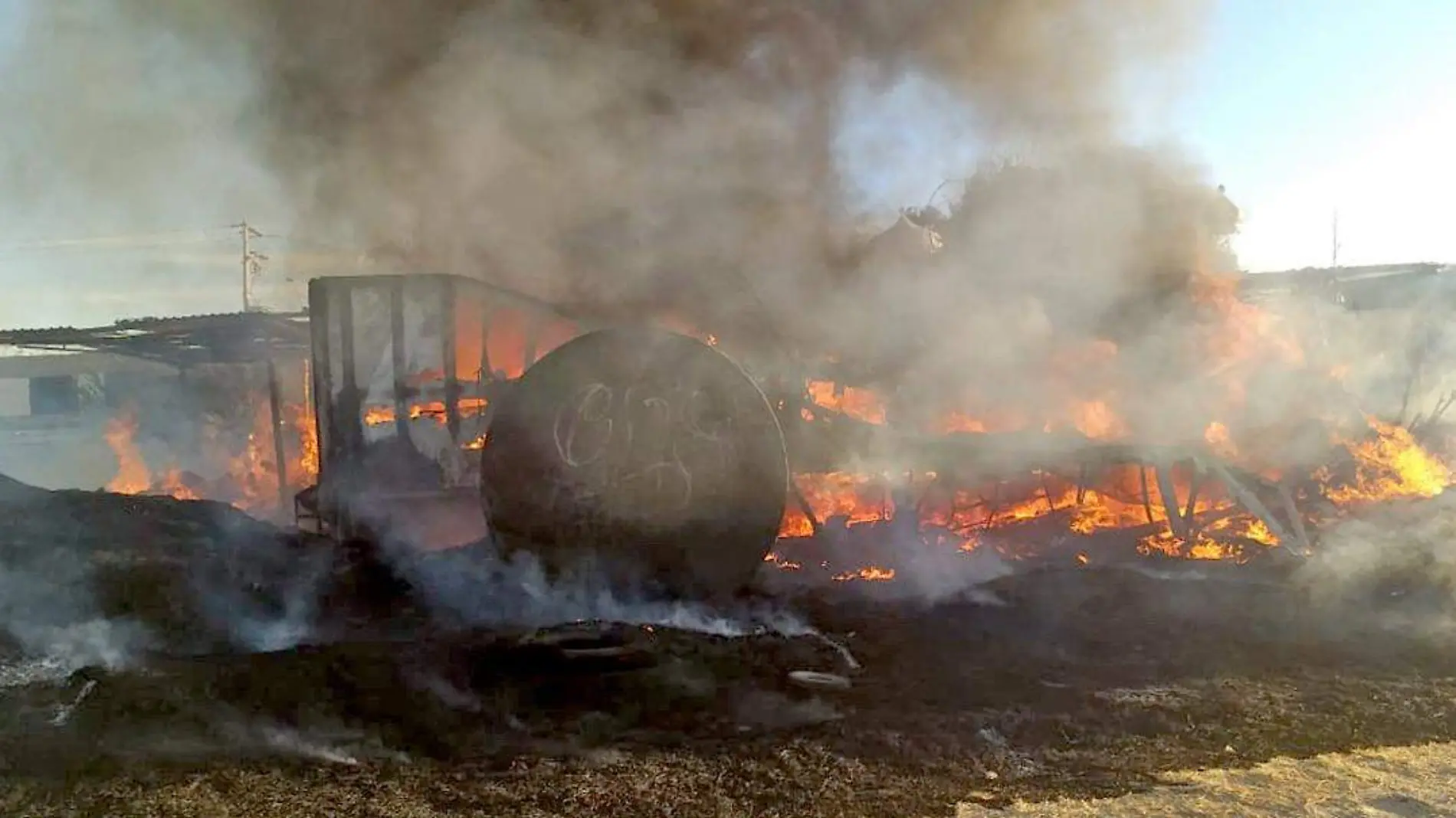 incendio en vivero 3